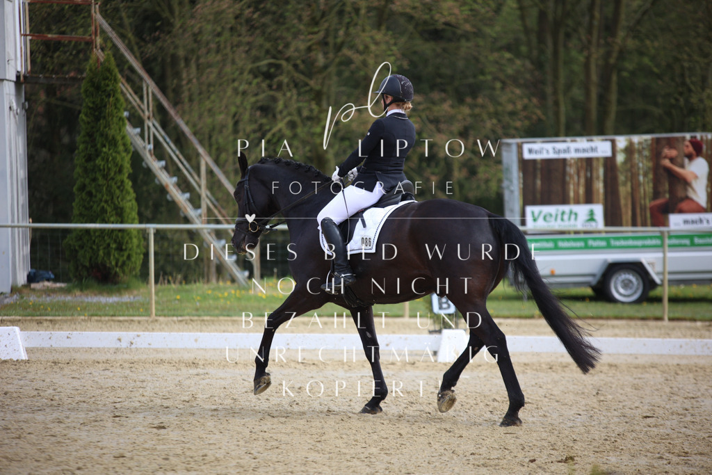 IMGT6181 | pl-fotografie