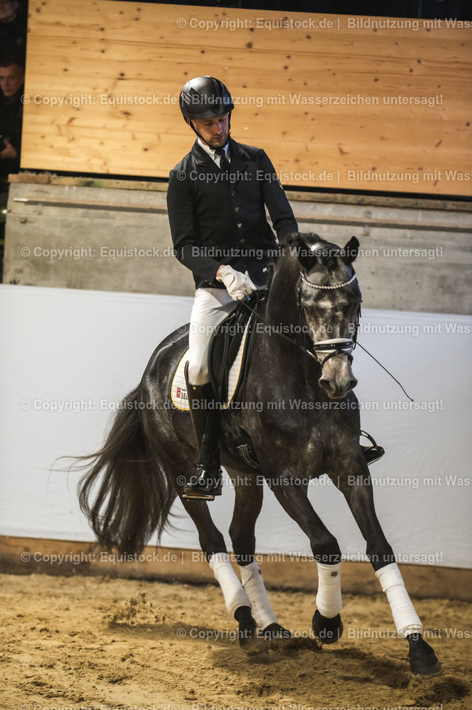 20240302_Hengstvorstellung_Marbach_TOMsPiC_0188 | equistock