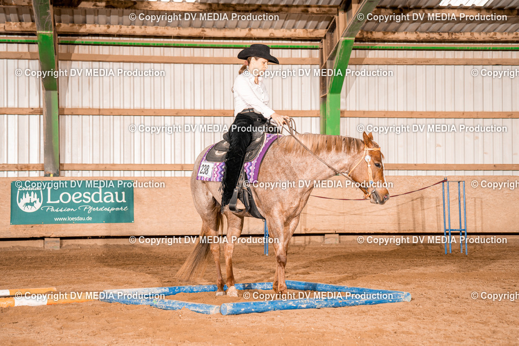 BA300720 | dv-media-shop - Realisiert mit Pictrs.com