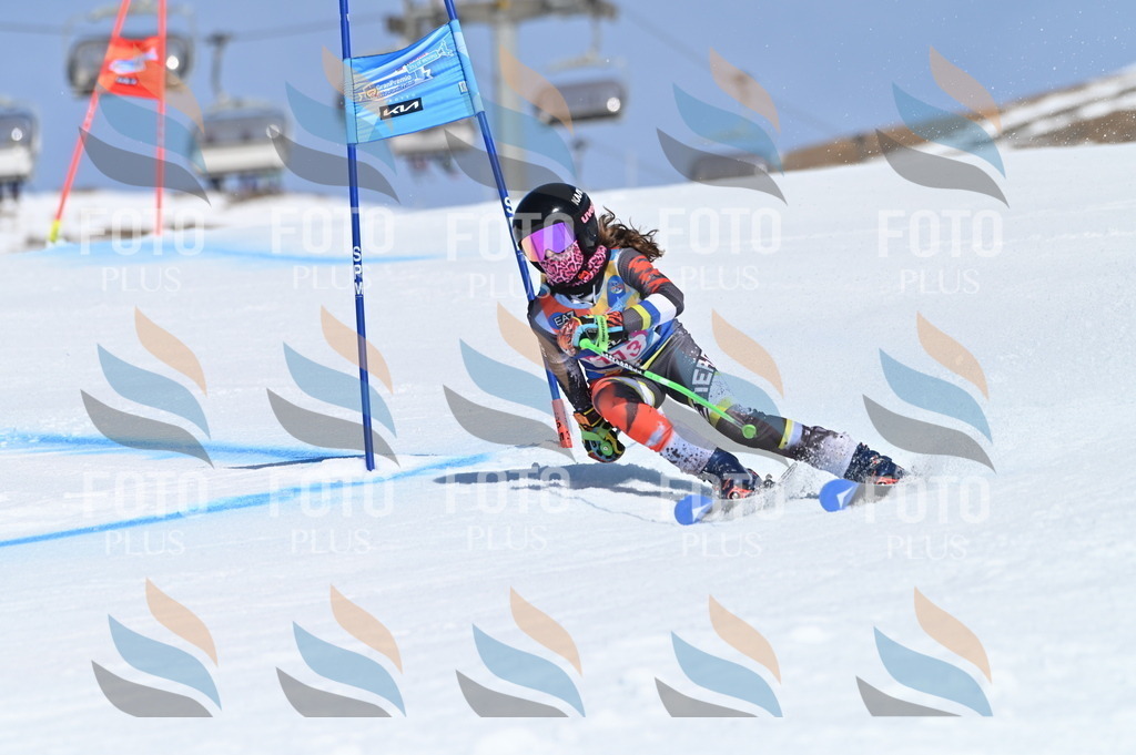 BGV_9683 | holidayphoto