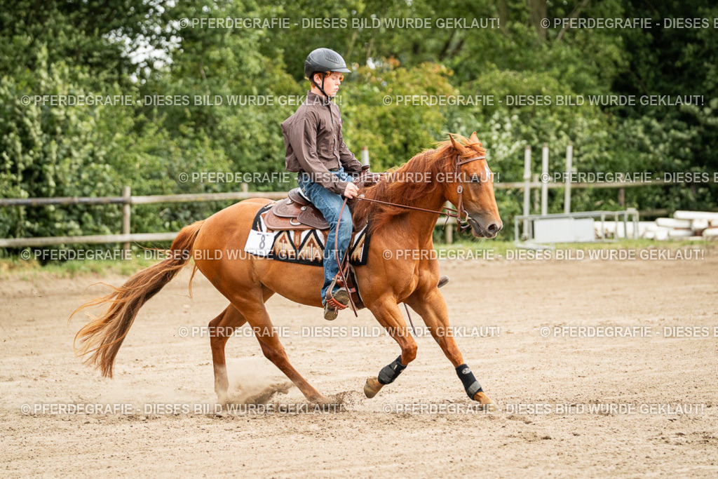 DSC04823 | Pferdegrafie