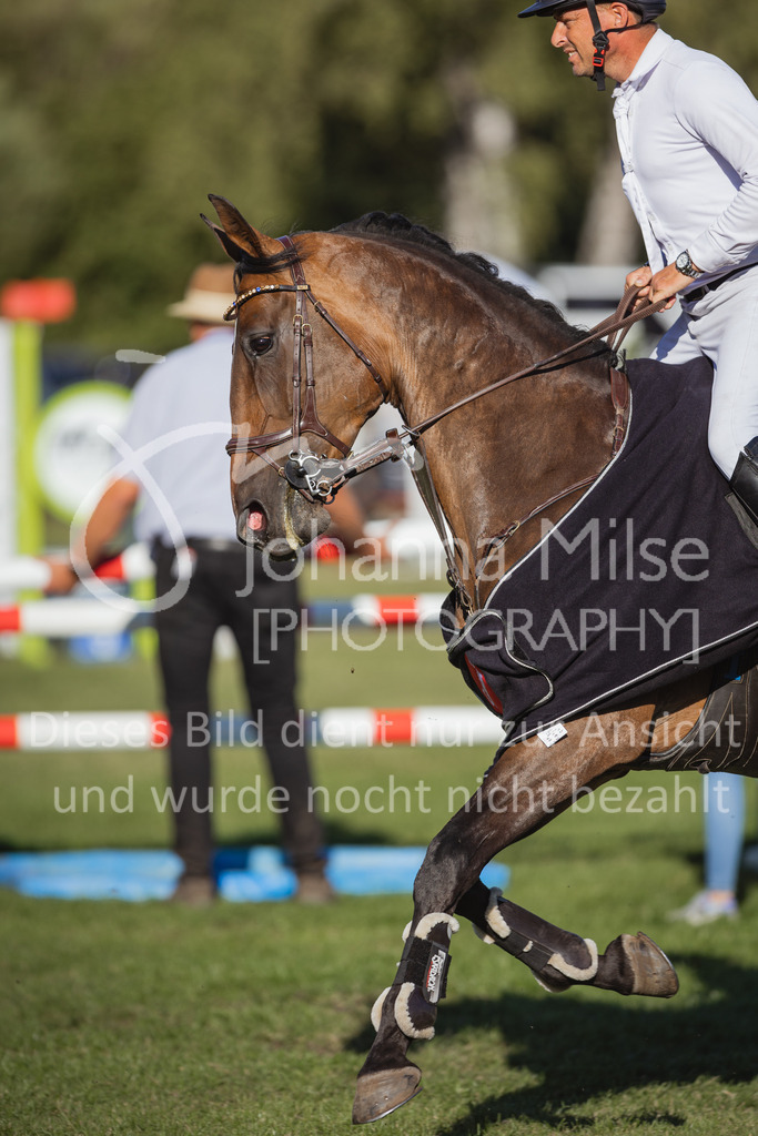 220716_LC_Waldbach-546 | Deine schönsten Turniermomente als professionelle Fotos! Entdecke hochwertige Pferdesport-Fotografie im Online-Shop. Jetzt Fotos finden & bestellen!