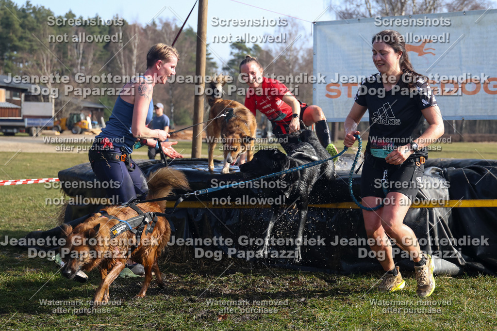 Dog Paparazzi - Strongdog North Mrz26-1280 | Dog Paparazzi Jeanette Grottendiek Fotografie & Videografie - Realisiert mit Pictrs.com