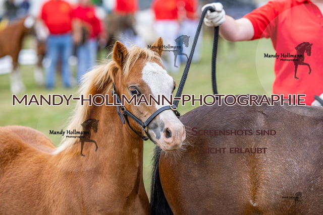 LTN 1 (613 von 918) | mandyhollmannphotographie