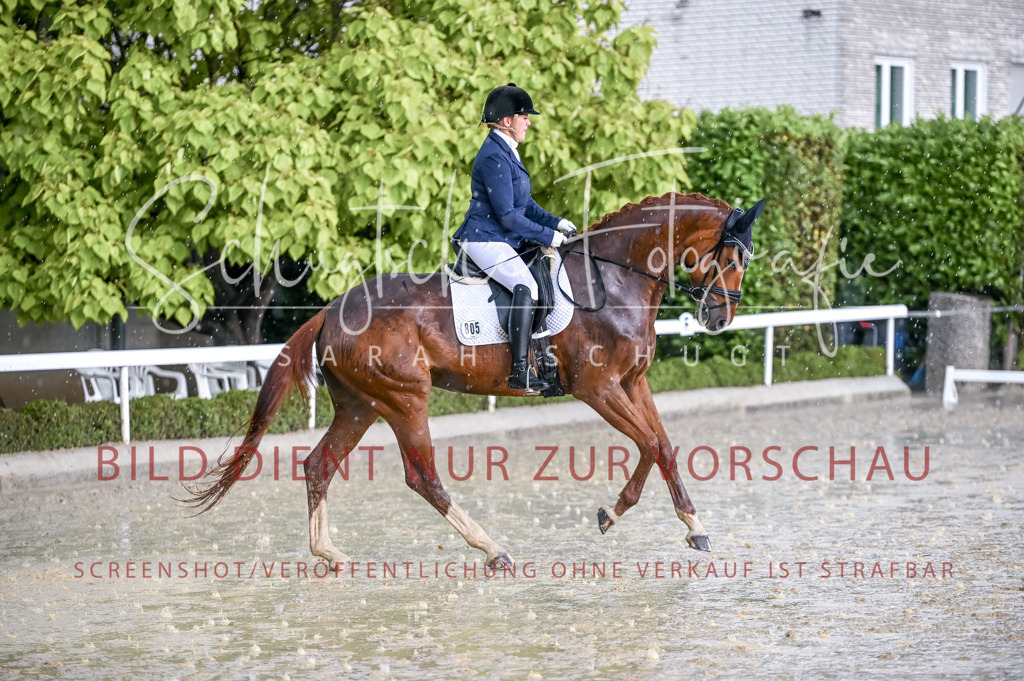 Schugtsche-Aluta25-54.Dressurprf.L1Trense-46 | Schugtsche Fotografie - Realisiert mit Pictrs.com