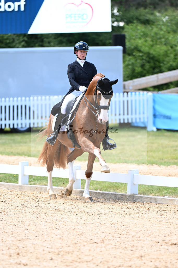 Harsdorf_Daydream d Arion_11252922 | hf-fotografie - Realizzato con Pictrs.com