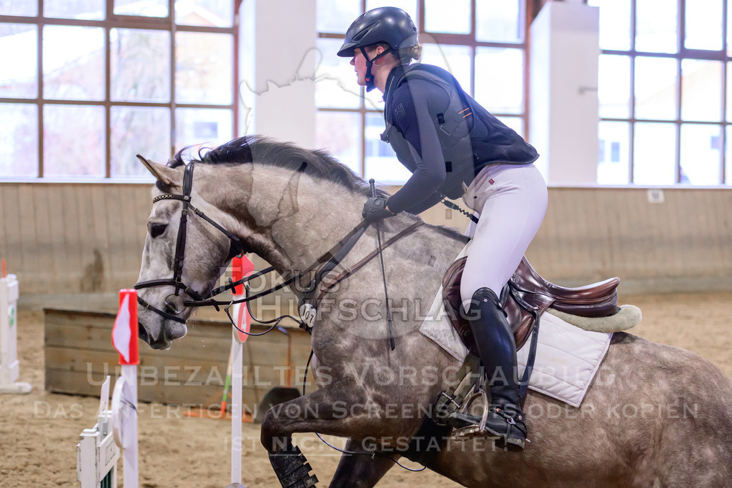 29032026-Schwaiganger-Prfg03-1-0174 | Fokus Hufschlag Fotografie - Realisiert mit Pictrs.com