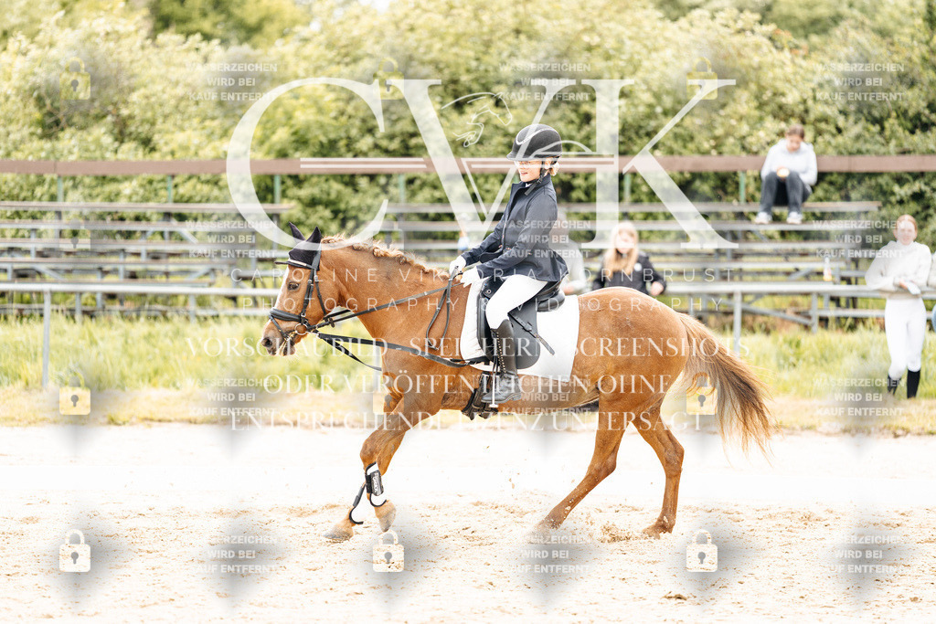 CK904606 | Turnierfotografie Pferdefotografie Trier Rheinland-Pfalz Pferdesport Reitsport Tierfotografie Sportfotografie Pferdevideo Pferdevideografie Equestrianvideography equestrianphotography  - Realisiert mit Pictrs.com