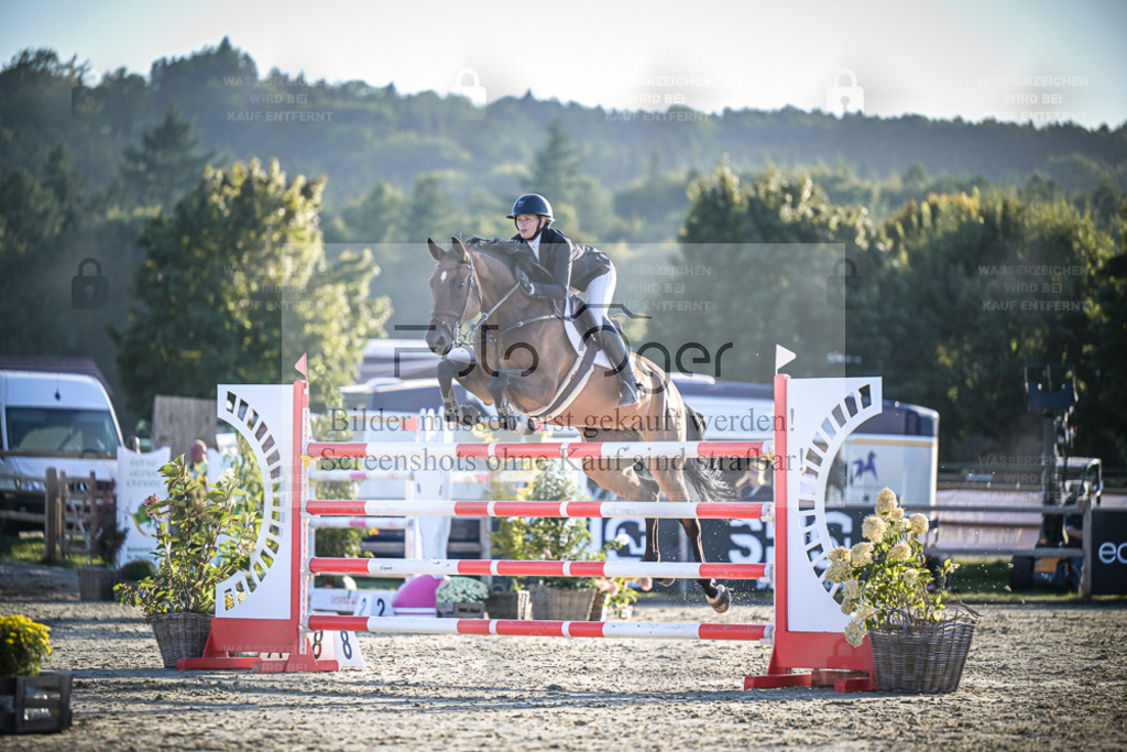 DOS_2308 | Entdecke hochwertige Reitturnierfotos von Foto Oger. Professionell, emotional und authentisch – jetzt Lieblingsmomente im Shop bestellen. - Realisiert mit Pictrs.com
