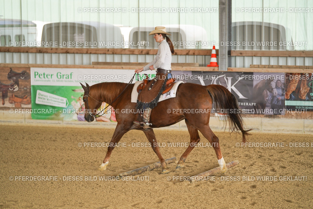 DSC01602 | Pferdegrafie