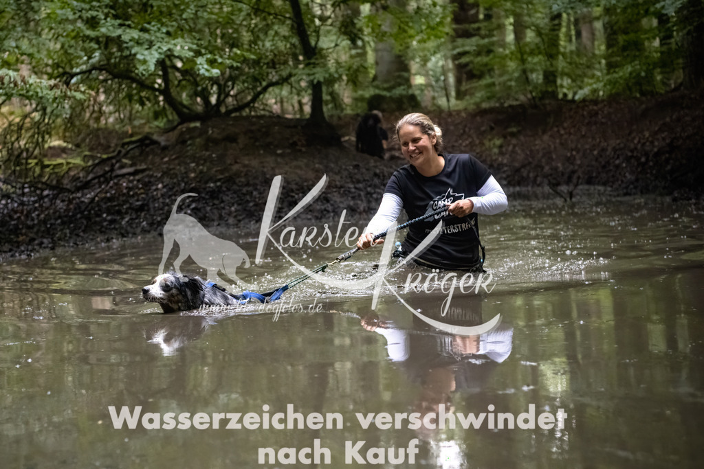 1226_ZZ90684-Bearbeitet | kk-dogfotos