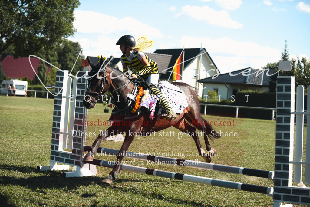 DSC_7671 | Pferde- und Turnierfotografie in Westsachsen. Pferdeportraits, Auftragszeichnungen und intuitive Kunst.