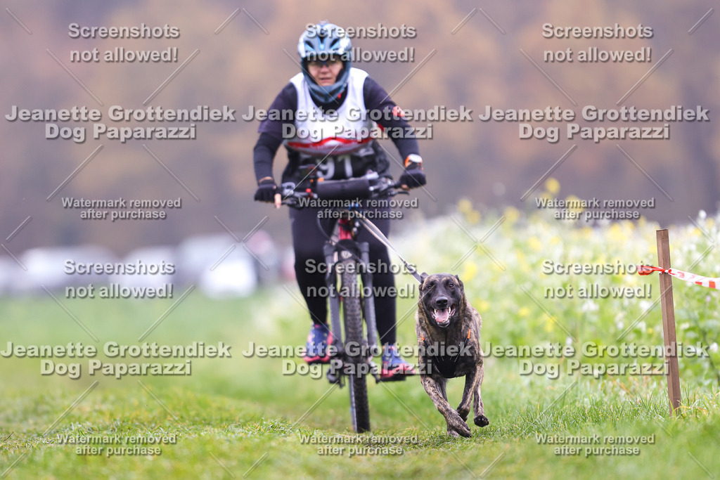 Dog Paparazzi - Visbeck 25 -202 | Dog Paparazzi Jeanette Grottendiek Fotografie & Videografie - Realisiert mit Pictrs.com