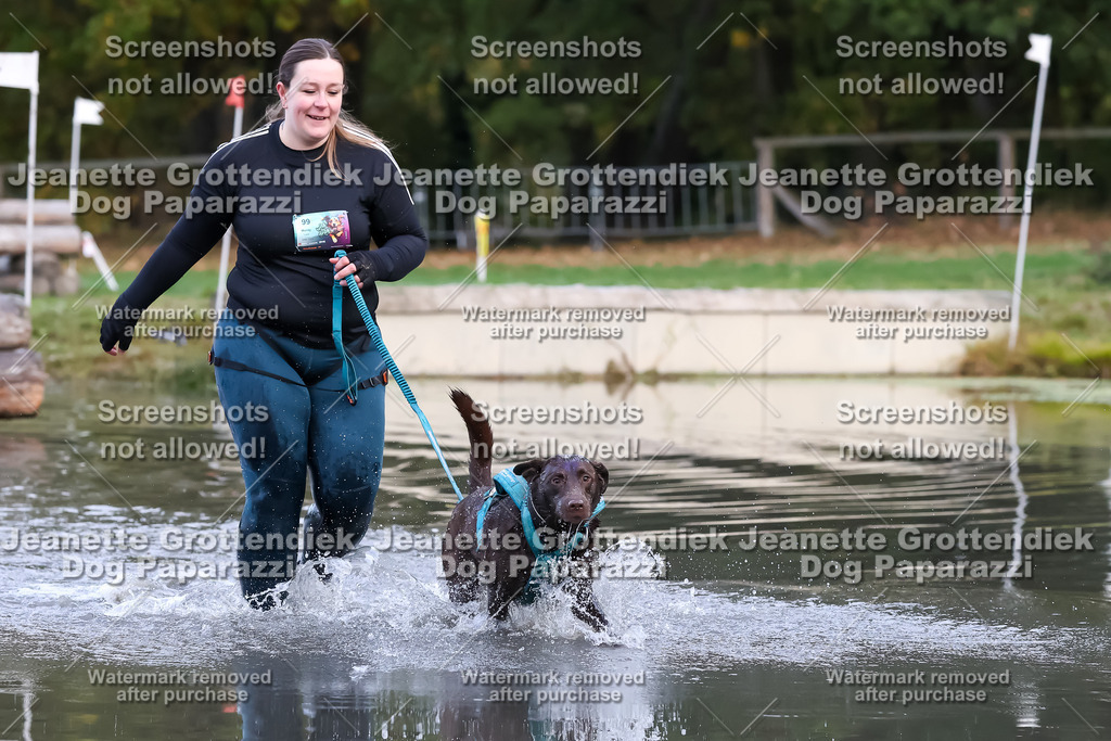 Dog Paparazzi - Strongdog 10-25-6345 | Dog Paparazzi Jeanette Grottendiek Fotografie & Videografie - Realisiert mit Pictrs.com