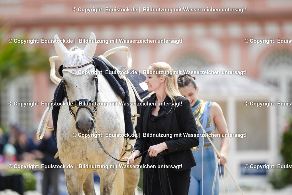20250608_CVI-Masterclass_0145 | Foto: Thomas Hartig