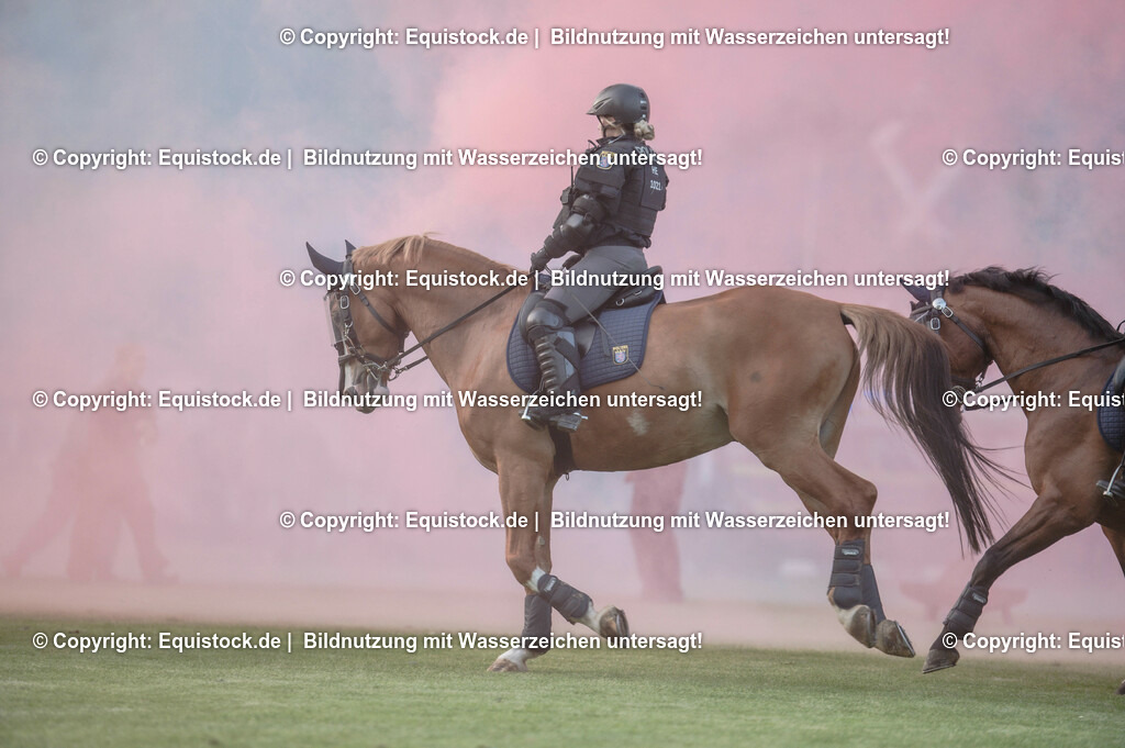 20230526_Pferdenacht_0399 | equistock