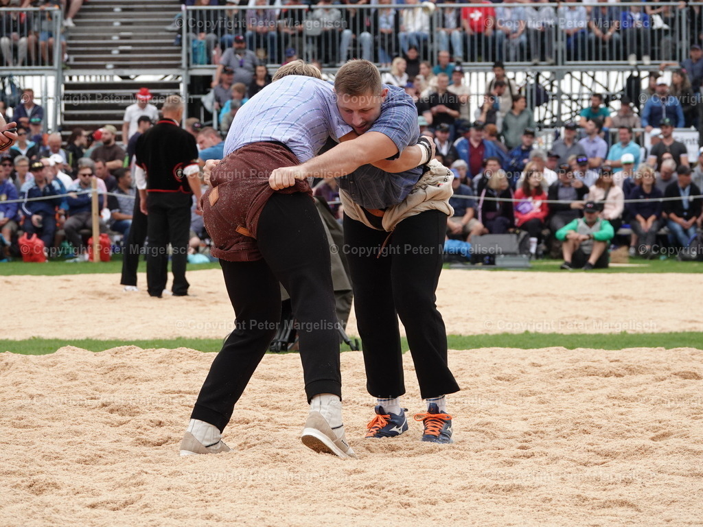 DSC08388 | Schwingen - Realisiert mit Pictrs.com