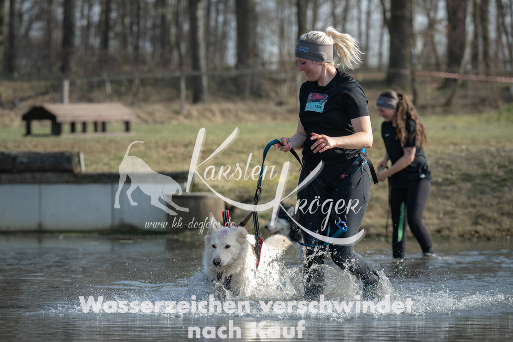 1330_ZZ96596 | kk-dogfotos