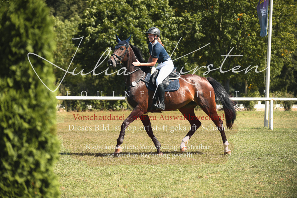 DSC_7020 | Pferde- und Turnierfotografie in Westsachsen. Pferdeportraits, Auftragszeichnungen und intuitive Kunst.
