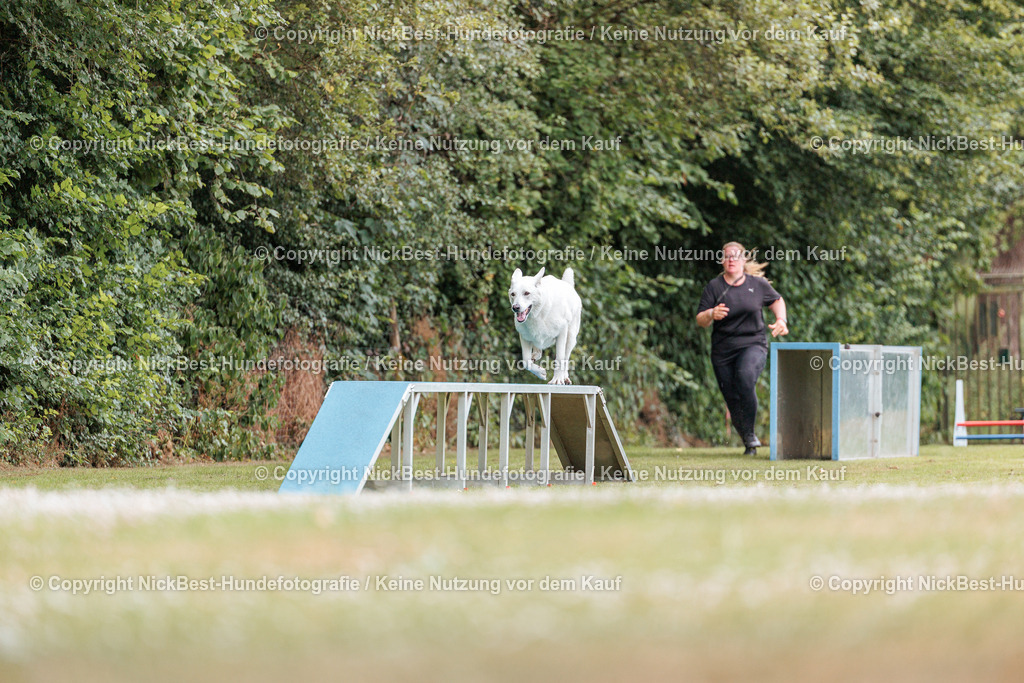 THS-Quakenbrück-2026-Nickbest-Hundefotografie-4202 | Dein Hund! Dein Moment! Deine Erinnerungen! Hundefotografie in Bremen Blumenthal. Ich fange die besonderen Momente deines Vierbeiners ein – ob Indoor mit Blitzanlage oder in der freien Natur. Sicher dir dein Moment und dein Termin für eure Erinnerungen.
