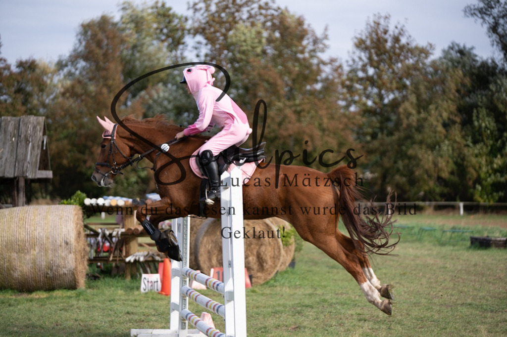 A7V06513 | Pferdefotograf