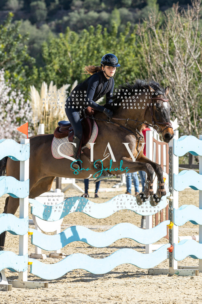 IMG_4139 | s-jay-photography - Realisiert mit Pictrs.com