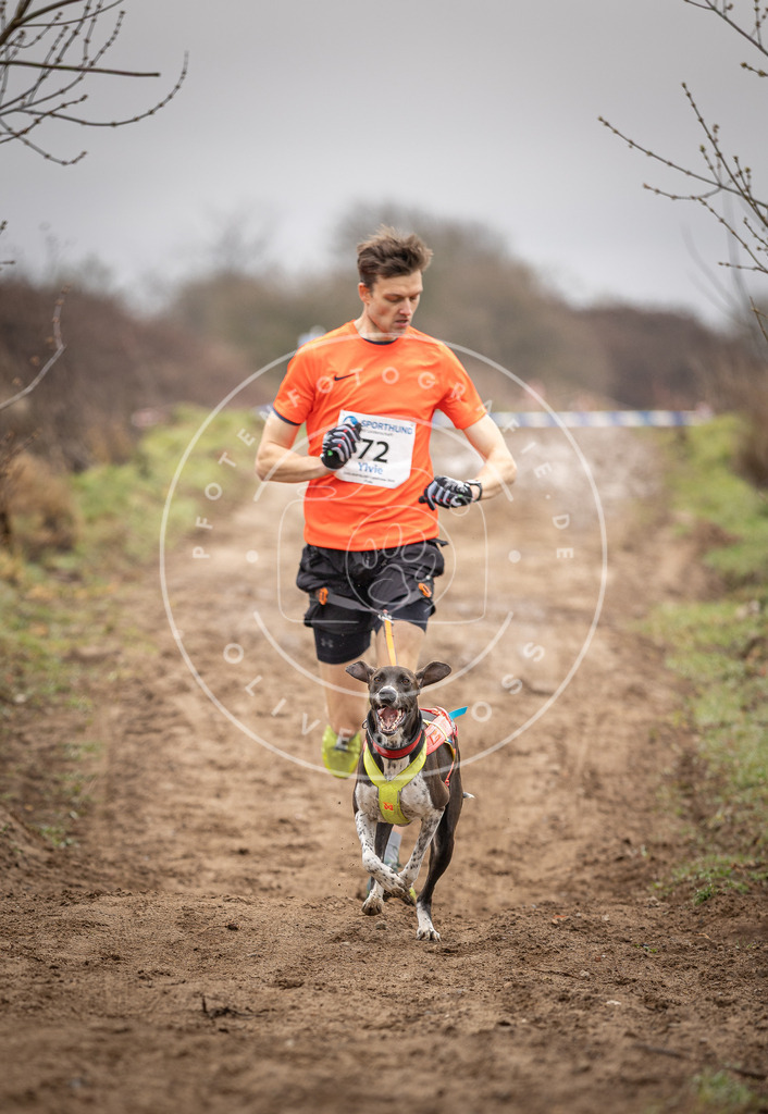 DV3A9660 | Hundefotografie, Tierfotograf, Pfotenfotografie, Fotoshooting Hund, Hunde Portrait, Hundesport, Hundeportraits, Heideshooting, Hunde, Sportfotograf, Hundefotograf, Turnierhundsport, THS,  - Realisiert mit Pictrs.com