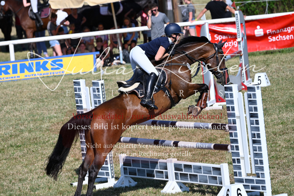 DSC_2129 | Pferde- und Turnierfotografie in Westsachsen. Pferdeportraits, Auftragszeichnungen und intuitive Kunst.