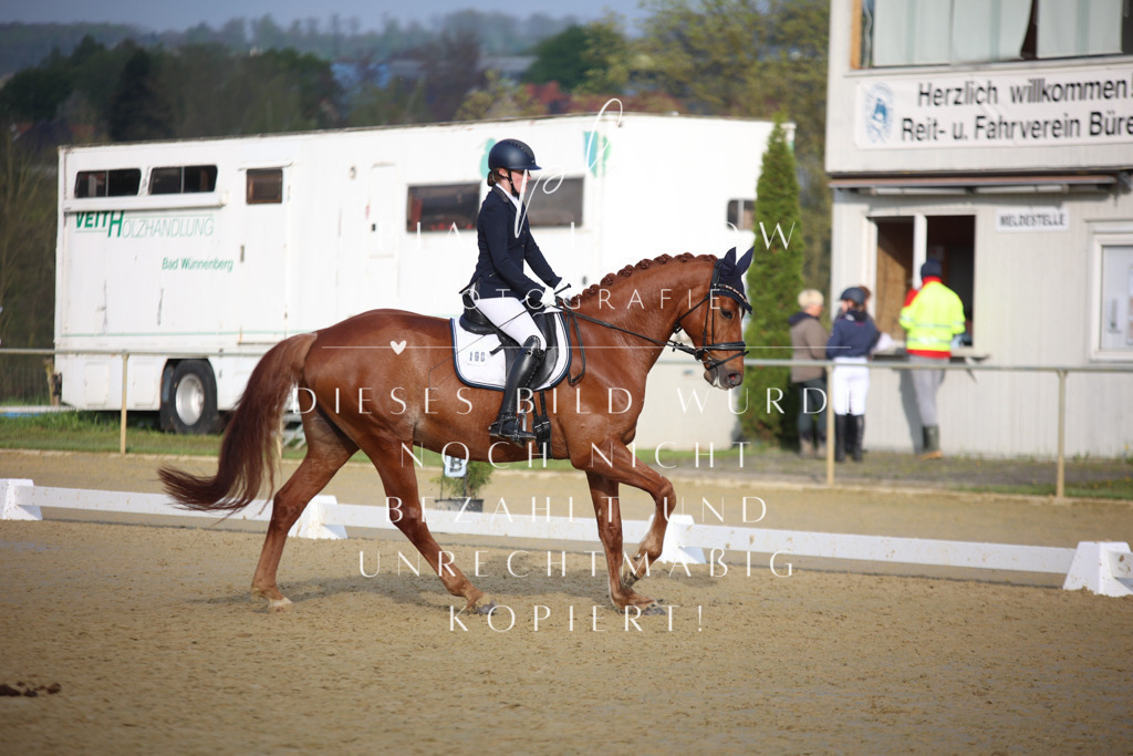 IMGT8363 | pl-fotografie