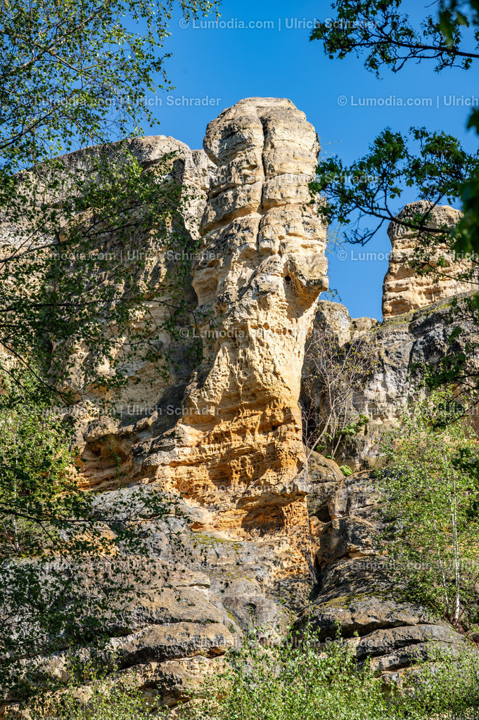 10049-13976 - Halberstadt - In den Klusbergen | Stockfoto und Bilderpool mit Bildmaterial aus Deutschland, dem Harz, Halberstadt, Quedlinburg, Wernigerode und weltweit. Qualitativ hochwertige und professionelle Fotos anschauen und kaufen. - Realized with Pictrs.com