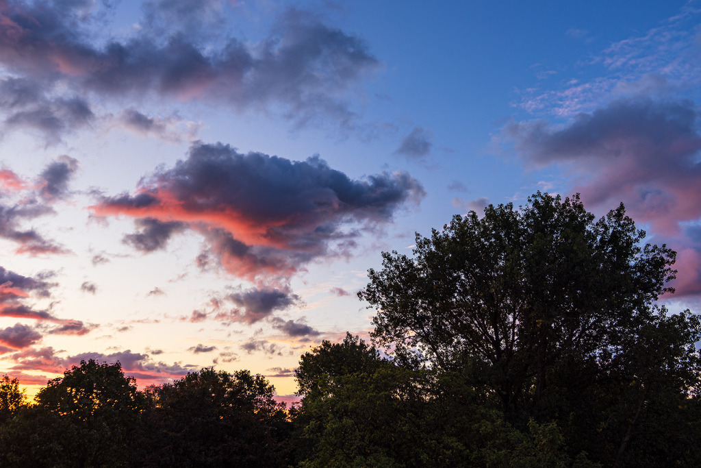 Bäume und Himmel mit Wolken im Sonnenaufgang | Bäume und Himmel mit Wolken im Sonnenaufgang.