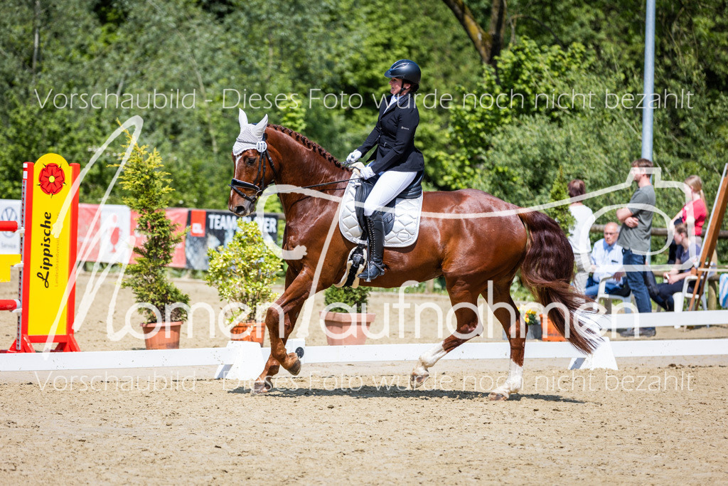 Donop24-L-Dre-080 | MomenTaufnahmen Pferdesportfotos