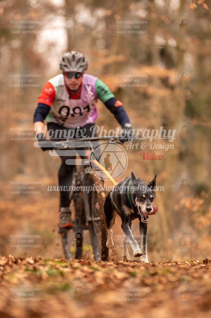 AKM_ST_2023_SAM_Bike-76 | PayLife