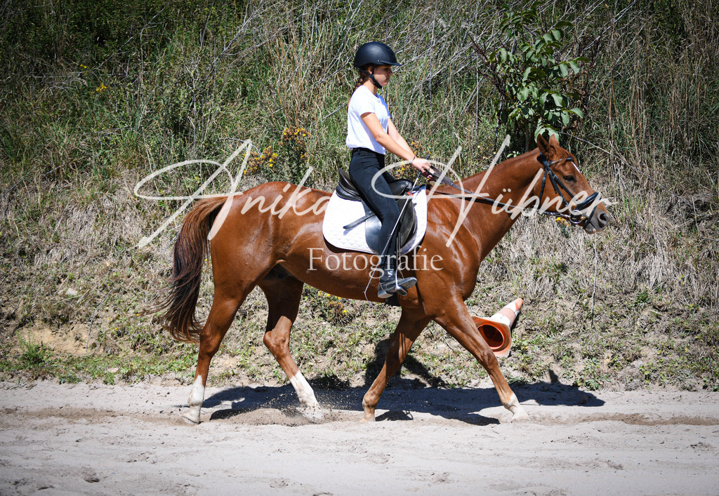 DSC_0964 | anikahuebner - Realisiert mit Pictrs.com