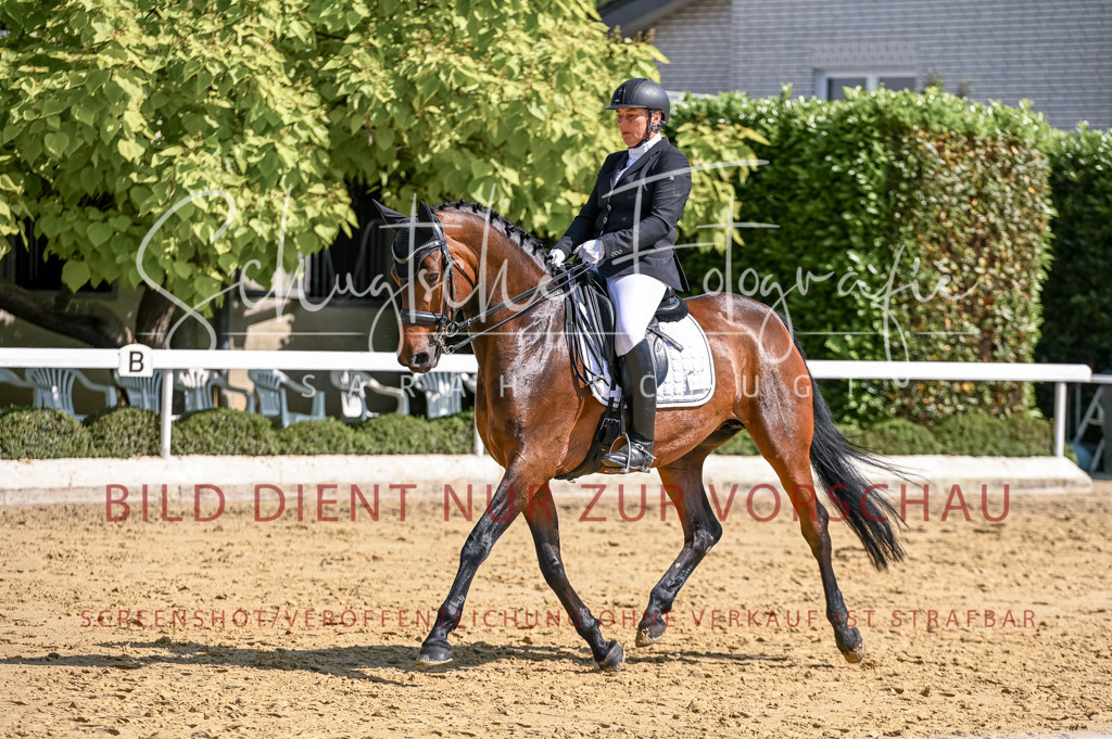 Schugtsche-Aluta25-52.Dressurprf.M2Kand-492 | Schugtsche Fotografie - Realizzato con Pictrs.com