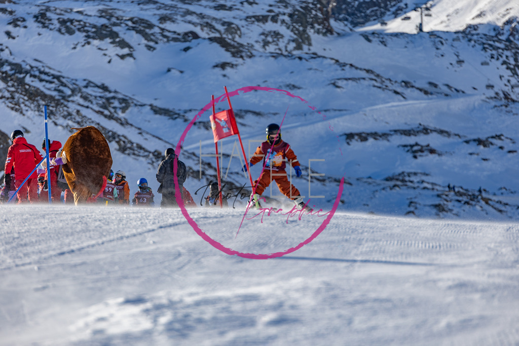 7N7A1616 | photohafele - Realisiert mit Pictrs.com