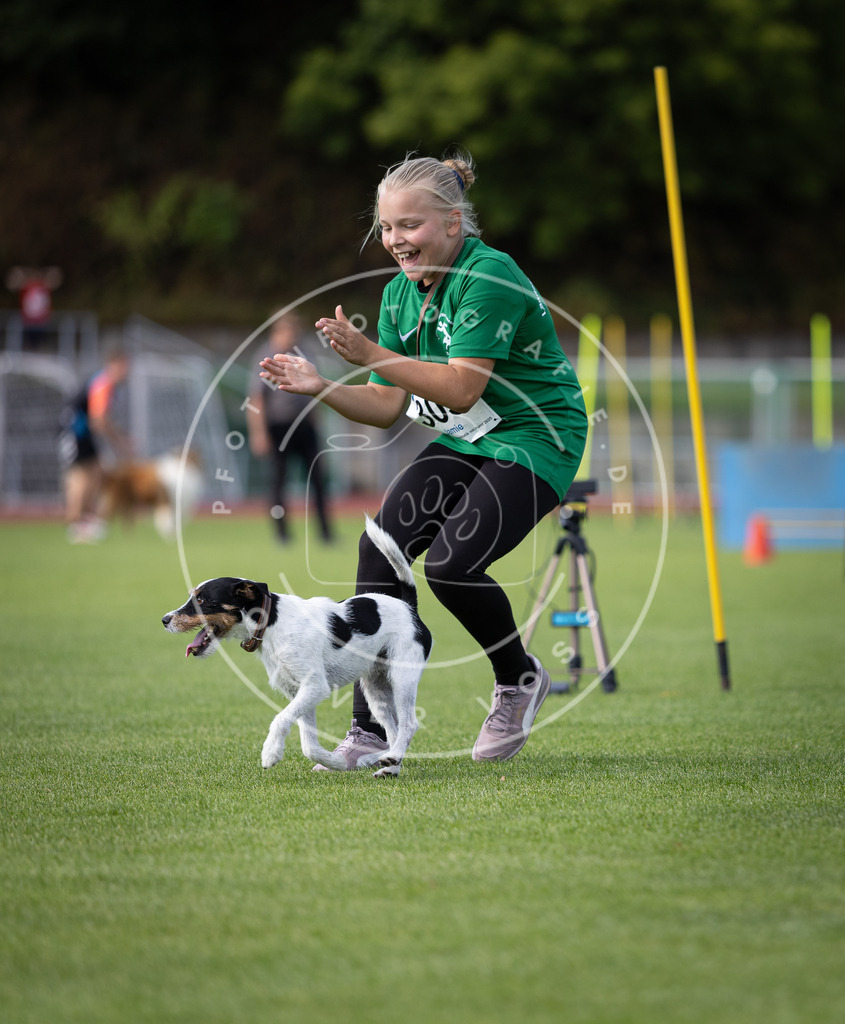 Pfotenfotografie_DV3A1253 | Hundefotografie, Tierfotograf, Pfotenfotografie, Fotoshooting Hund, Hunde Portrait, Hundesport, Hundeportraits, Heideshooting, Hunde, Sportfotograf, Hundefotograf, Turnierhundsport, THS,  - Realisiert mit Pictrs.com