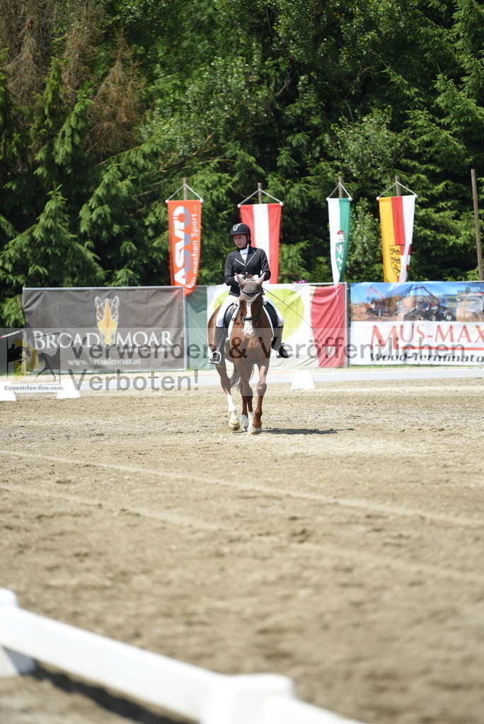DSC_8813 | equestrian-live-com