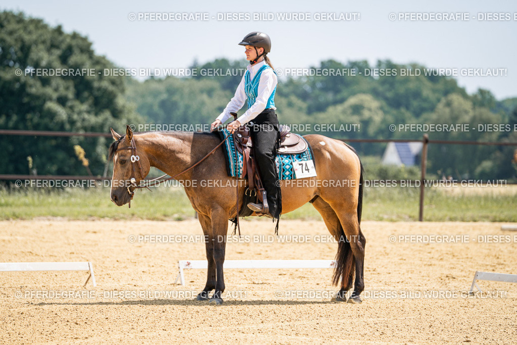 DSC00912 | Pferdegrafie