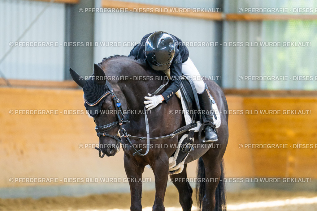 DSC09017 | Pferdegrafie