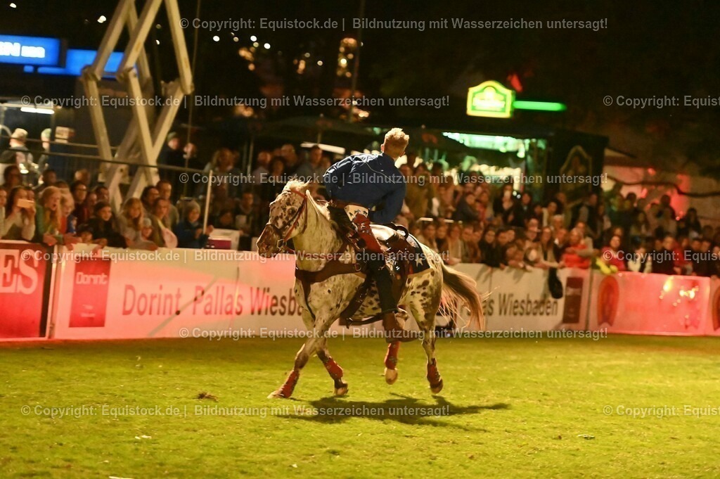20230526_Pferdenacht_1185 | equistock