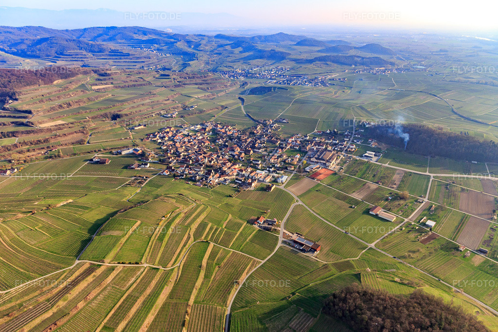 Luftbild: Ortsansicht aus Norden im Ortsteil Bischoffingen in Vogtsburg im Bundesland Baden-Württemberg in Deutschland. Foto: IMG_113145.jpg vom 22.03.2019 durch Werner Riehm/FLY-FOTO.de