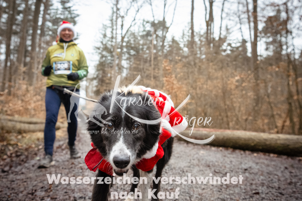 1139_ZZ91060 | kk-dogfotos