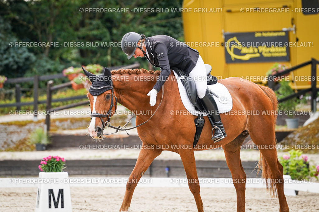 DSC00276 | Pferdegrafie