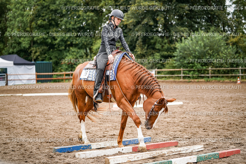 DSC04297 | Pferdegrafie