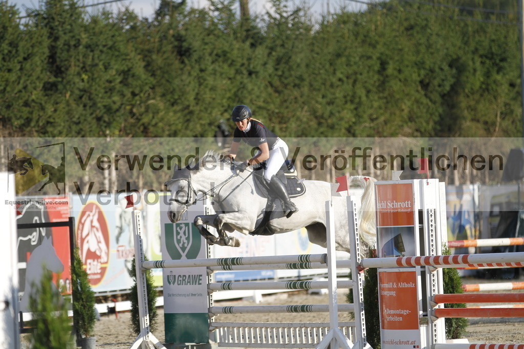 _MG_6444 | equestrian-live-com