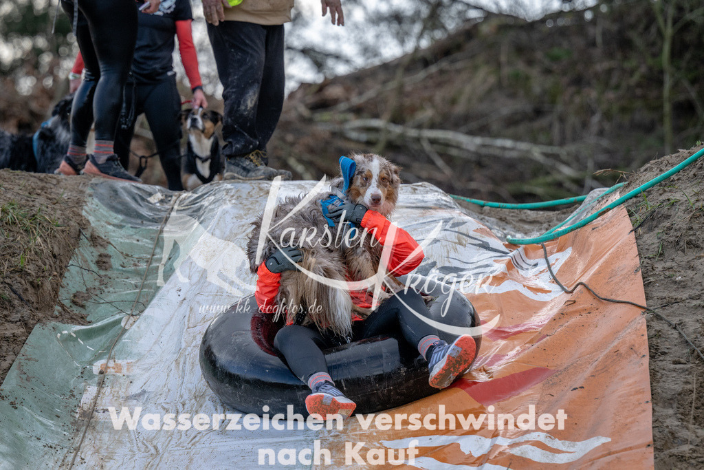 1617_ZZ94753 | kk-dogfotos