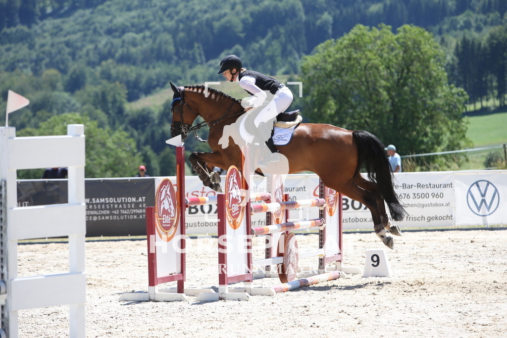 PP014868 | Willkommen bei Brunnmayr - Design & Fotografie – Ihrem Spezialisten für Reitturniere und Pferdeveranstaltungen in Oberösterreich, Salzburg und Bayern! Seit über 17 Jahren sind wir leidenschaftlich dabei.