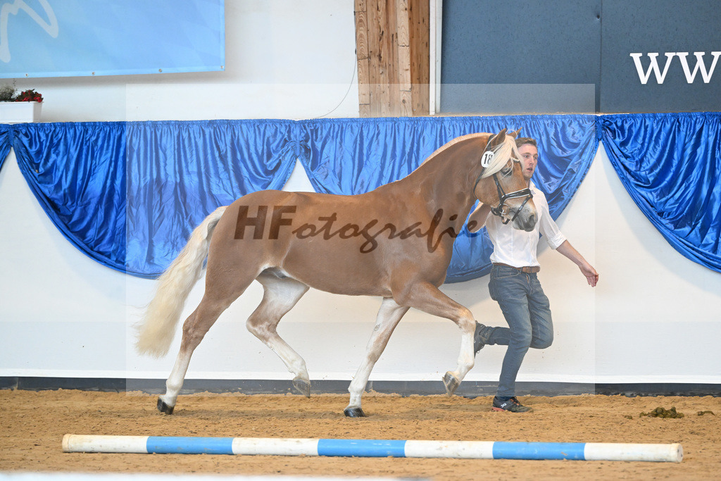 Kat-Nr. 18 Alois v. Amari_Reisberger_60220746 | hf-fotografie - Realisiert mit Pictrs.com