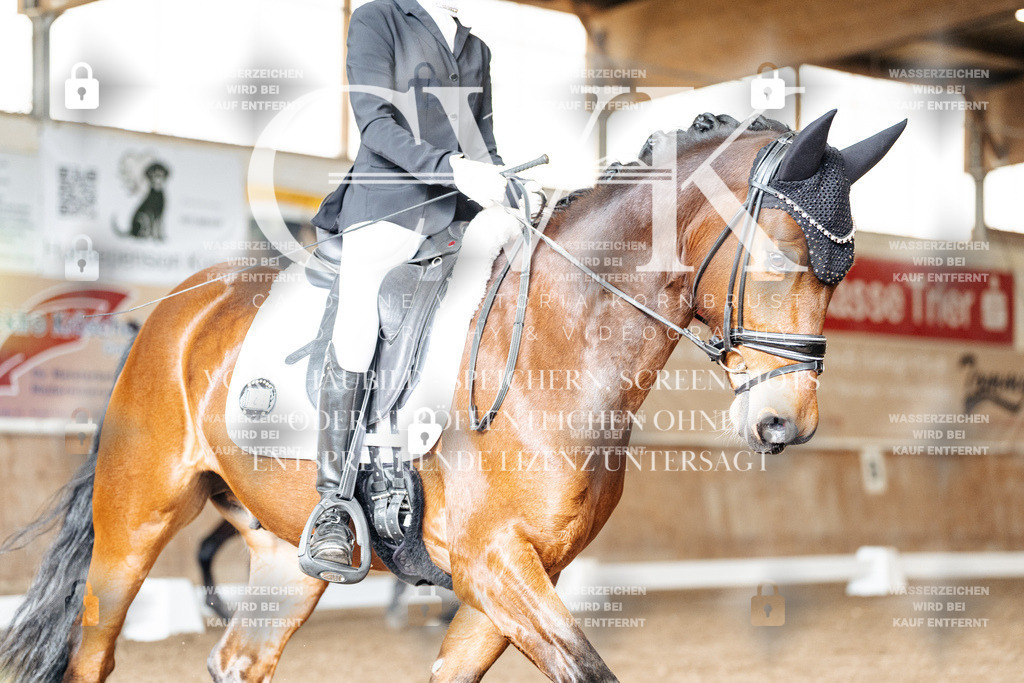 CK901476 | Turnierfotografie Pferdefotografie Trier Rheinland-Pfalz Pferdesport Reitsport Tierfotografie Sportfotografie Pferdevideo Pferdevideografie Equestrianvideography equestrianphotography  - Realisiert mit Pictrs.com
